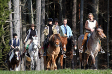 Austria-Upper Austria-Innviertel Woodlands Ride
